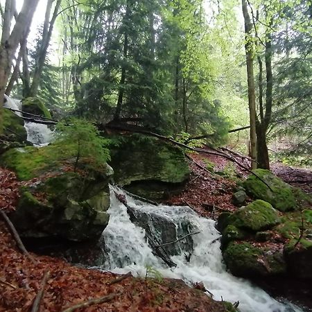 La Fortance Paradis Naturel - Proche De La Ville Planfoy エクステリア 写真