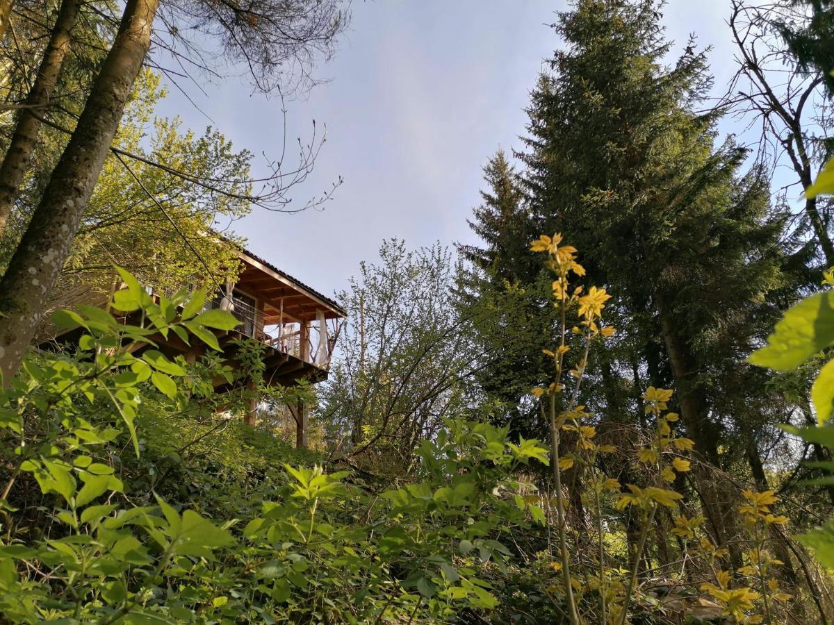 La Fortance Paradis Naturel - Proche De La Ville Planfoy エクステリア 写真
