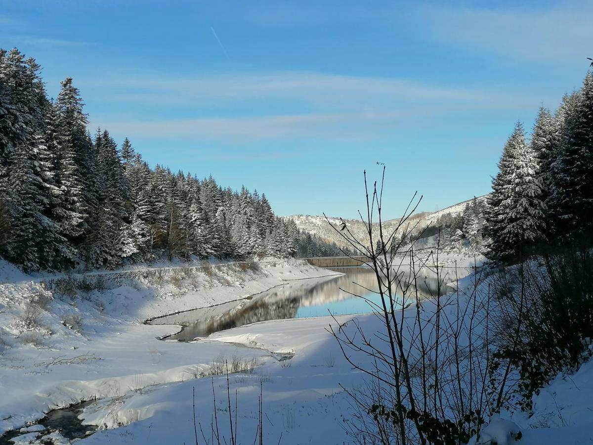 La Fortance Paradis Naturel - Proche De La Ville Planfoy エクステリア 写真