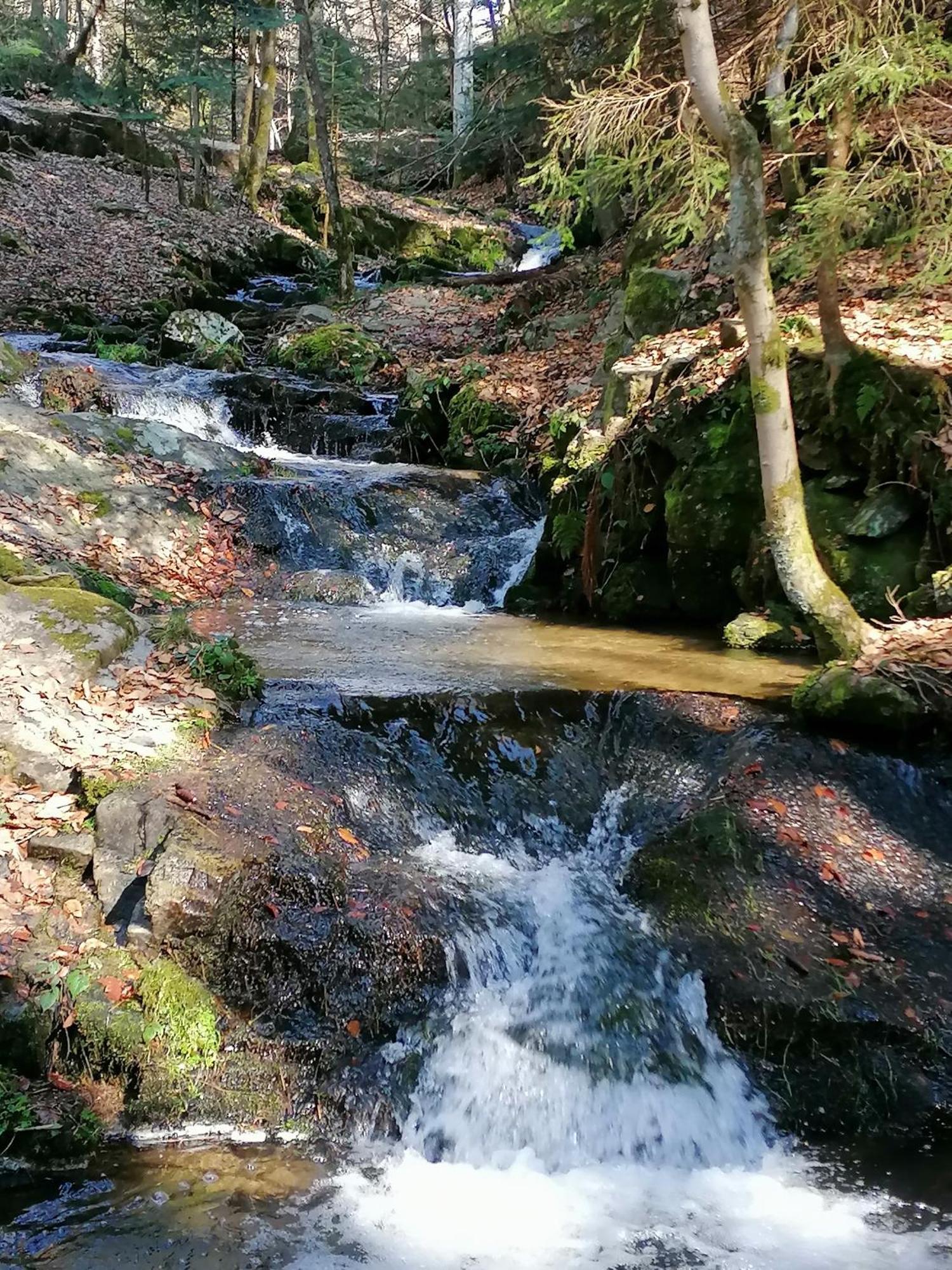 La Fortance Paradis Naturel - Proche De La Ville Planfoy エクステリア 写真