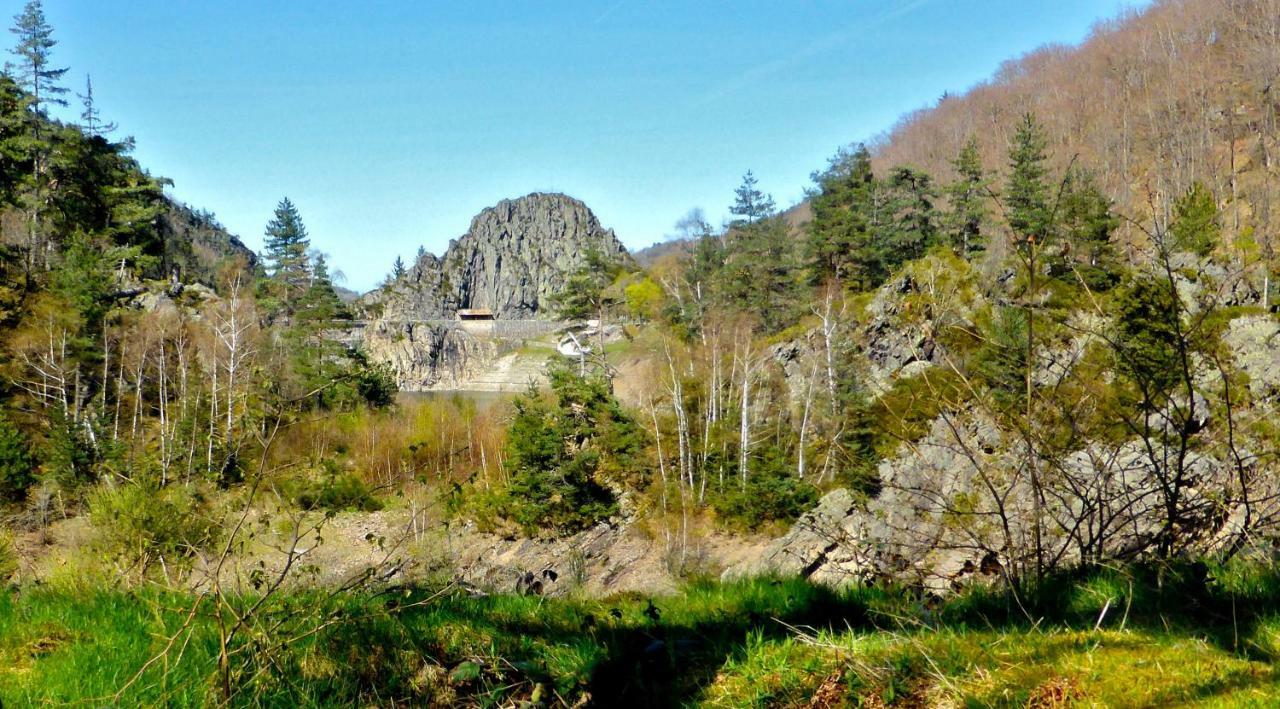 La Fortance Paradis Naturel - Proche De La Ville Planfoy エクステリア 写真
